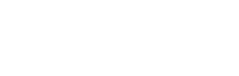Payarmin wordmark